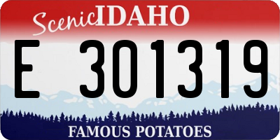 ID license plate E301319
