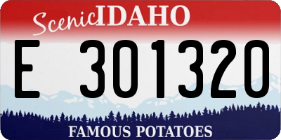 ID license plate E301320