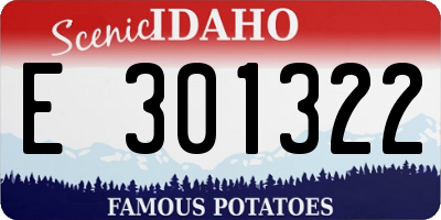 ID license plate E301322