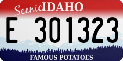 ID license plate E301323