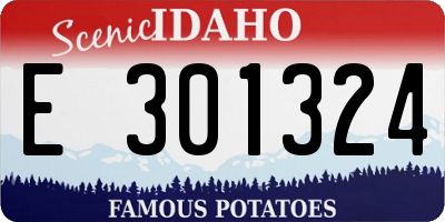 ID license plate E301324
