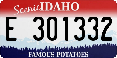 ID license plate E301332