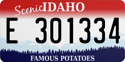 ID license plate E301334