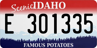 ID license plate E301335