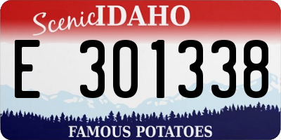 ID license plate E301338