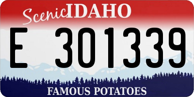 ID license plate E301339