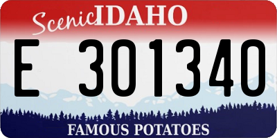ID license plate E301340