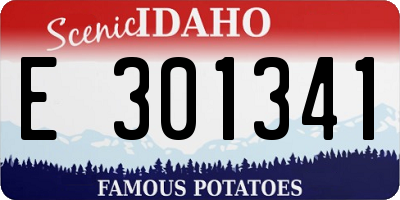 ID license plate E301341