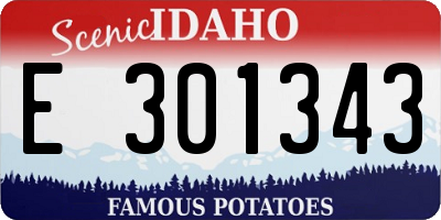 ID license plate E301343