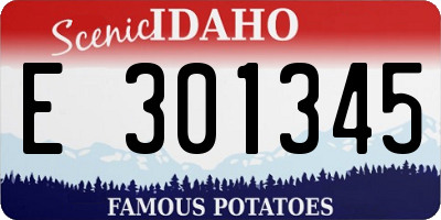 ID license plate E301345