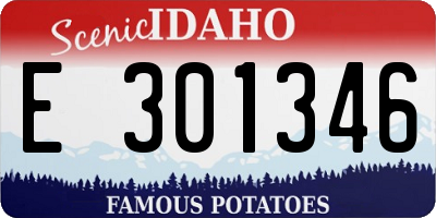 ID license plate E301346