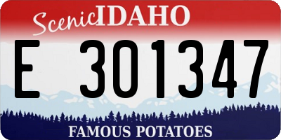 ID license plate E301347