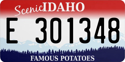 ID license plate E301348