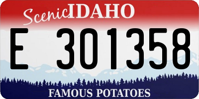 ID license plate E301358