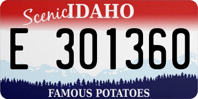 ID license plate E301360