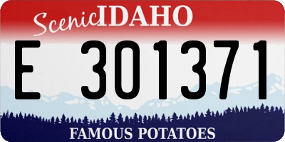 ID license plate E301371
