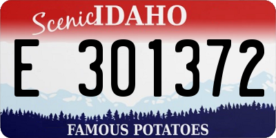 ID license plate E301372