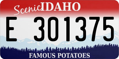 ID license plate E301375