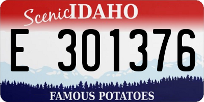 ID license plate E301376