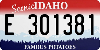 ID license plate E301381