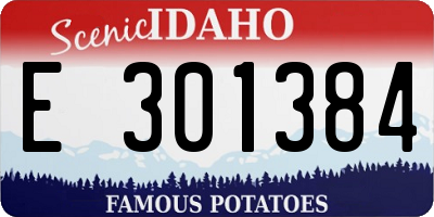 ID license plate E301384