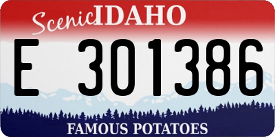 ID license plate E301386