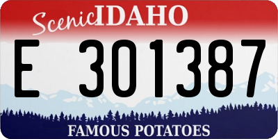 ID license plate E301387