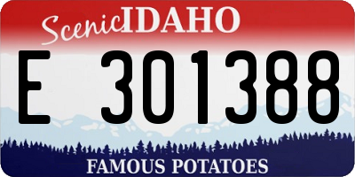 ID license plate E301388