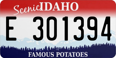 ID license plate E301394