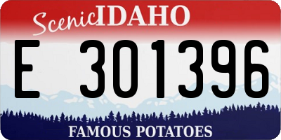 ID license plate E301396
