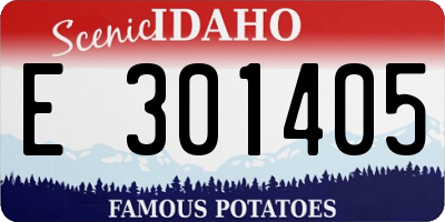 ID license plate E301405
