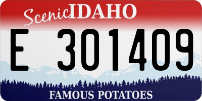 ID license plate E301409