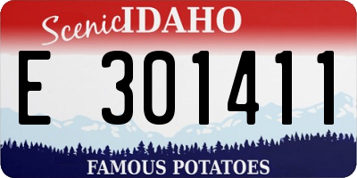 ID license plate E301411