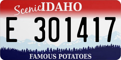 ID license plate E301417