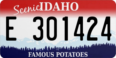 ID license plate E301424