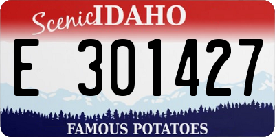 ID license plate E301427