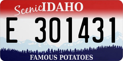 ID license plate E301431