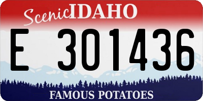 ID license plate E301436