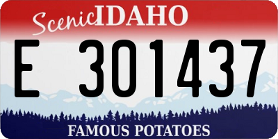 ID license plate E301437