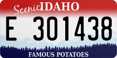 ID license plate E301438