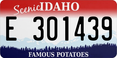 ID license plate E301439