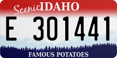 ID license plate E301441