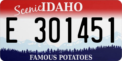 ID license plate E301451
