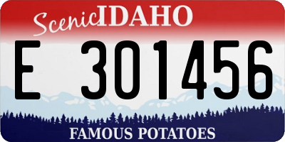 ID license plate E301456