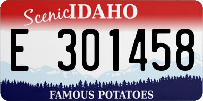 ID license plate E301458