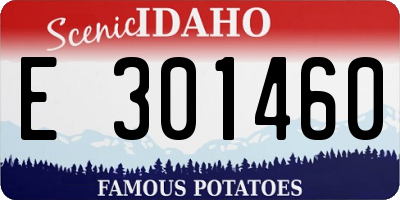 ID license plate E301460
