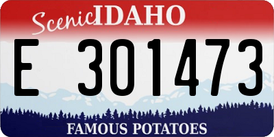 ID license plate E301473