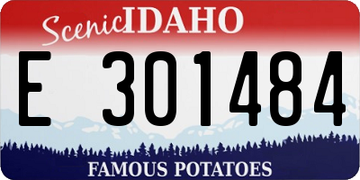 ID license plate E301484