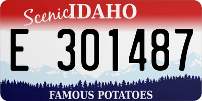 ID license plate E301487