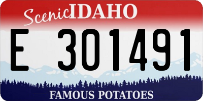 ID license plate E301491